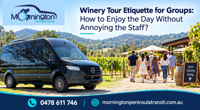 Winery Tour Etiquette for Groups: How to Enjoy the Day Without Annoying the Staff?